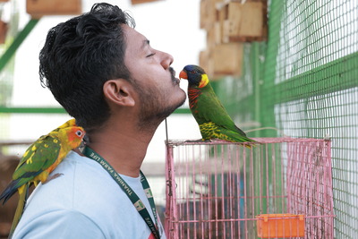 Bird Sanctuary