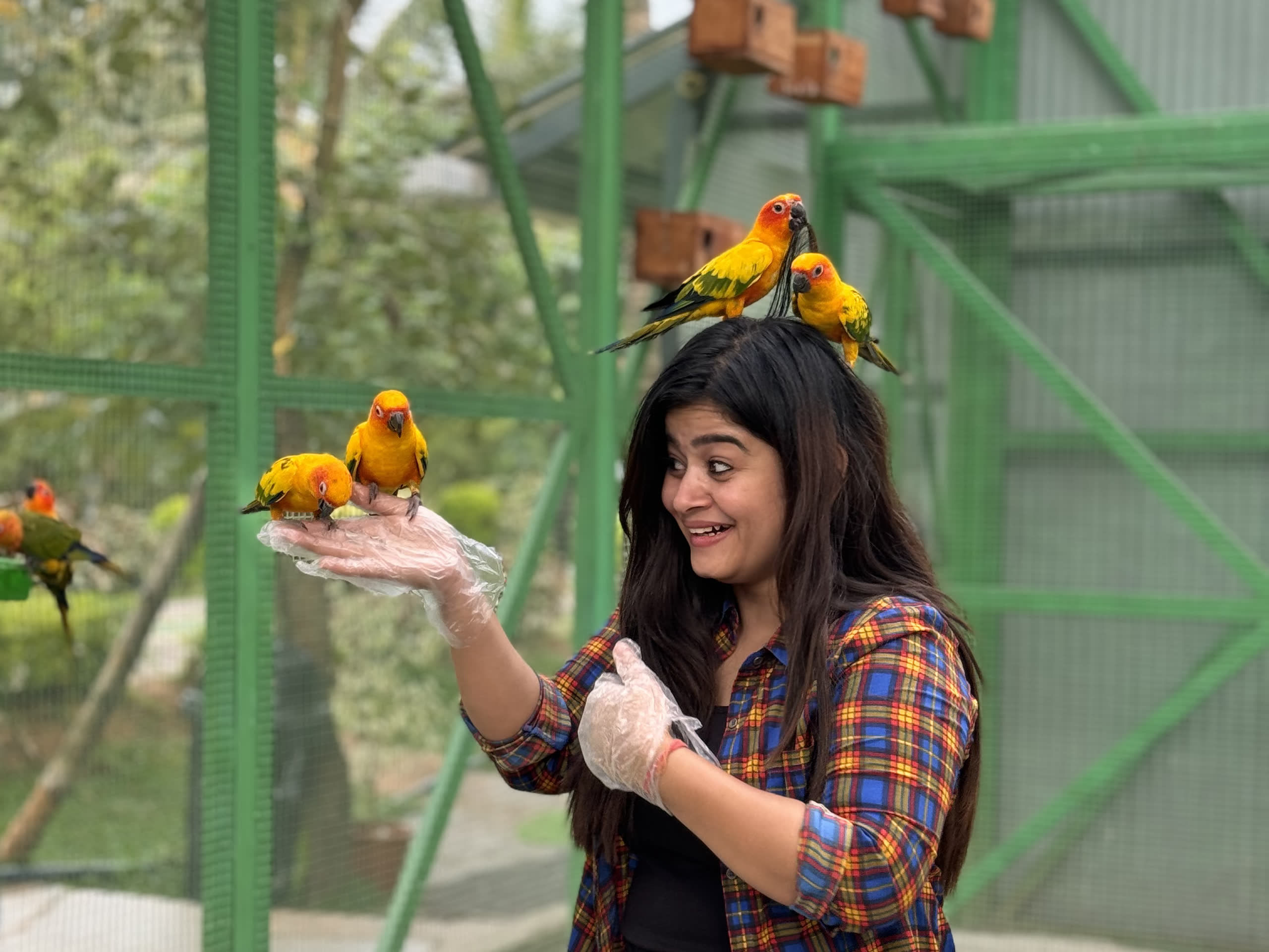 Bird Sanctuary
