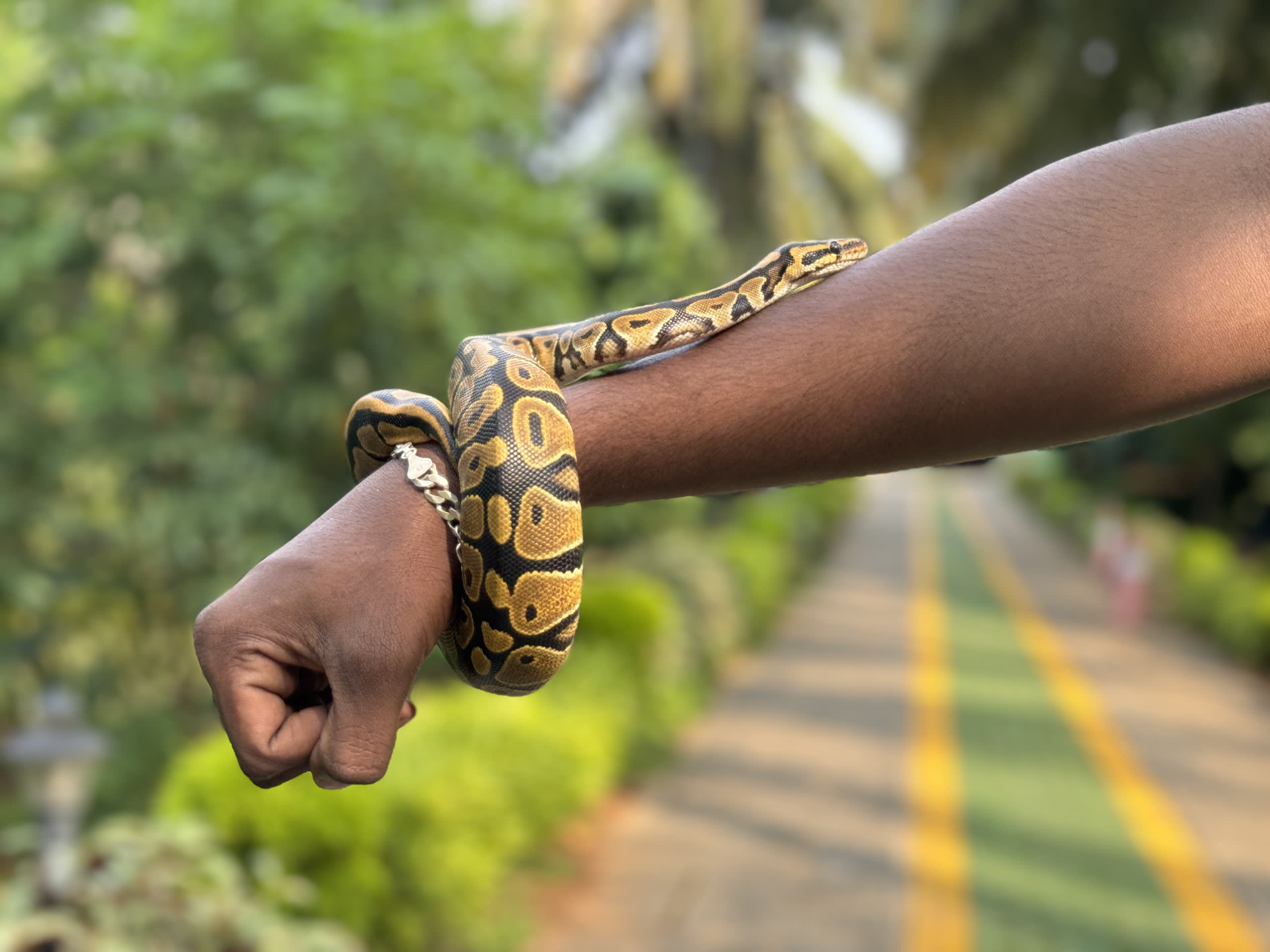 Animal Husbandry